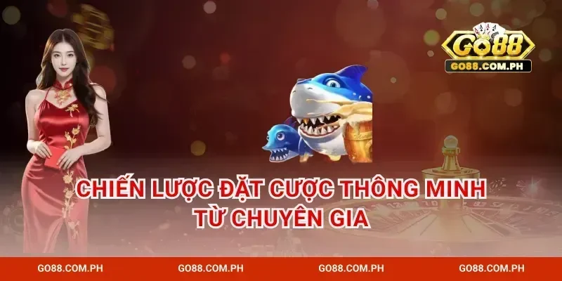 Chiến lược đặt cược thông minh từ chuyên gia